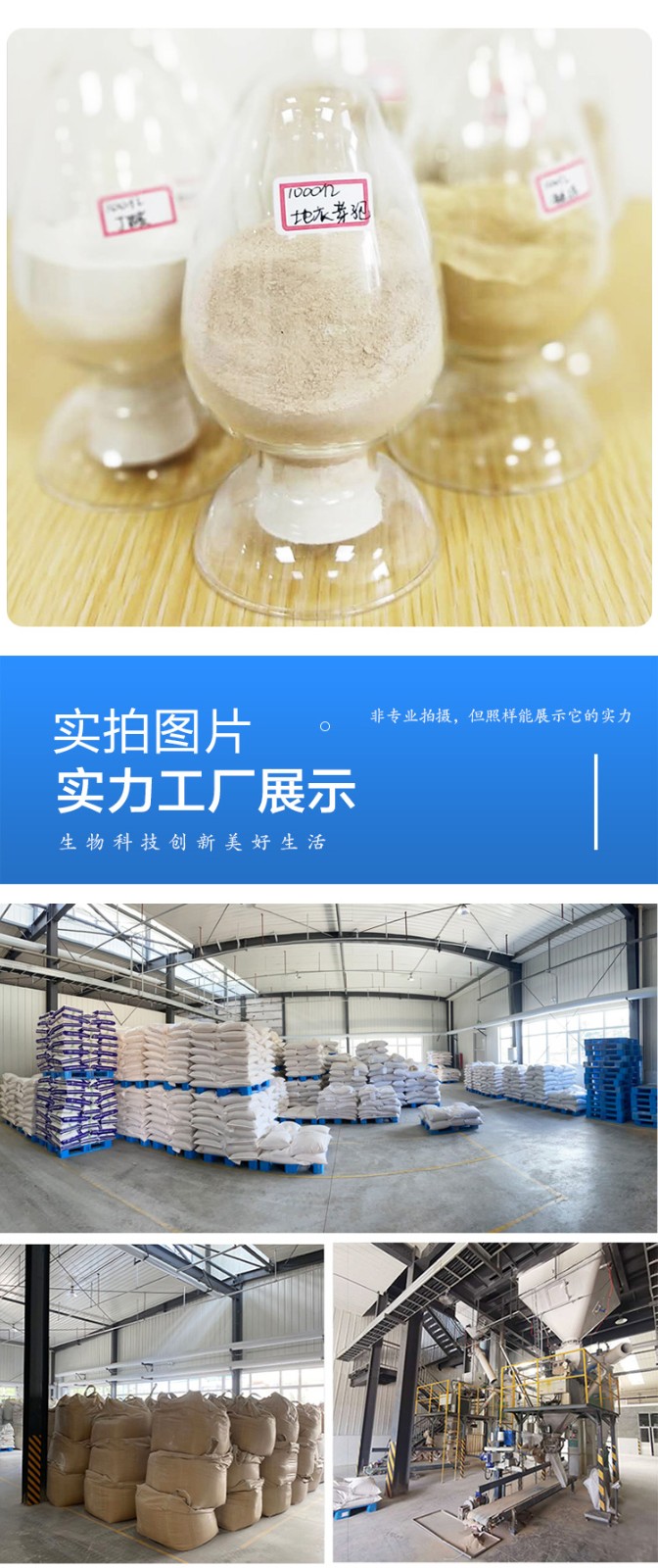 地衣芽孢桿菌