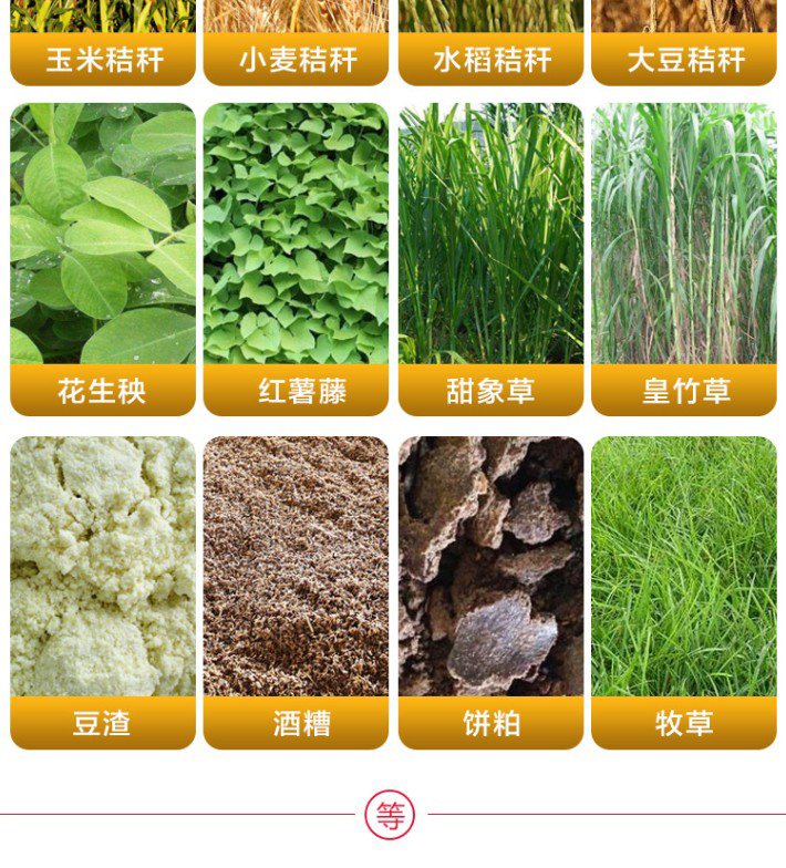 青貯元 青貯飼料發酵劑